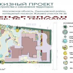 Ландшафтный дизайн участка 10 соток - ДЕНДРОПЛАН к ГЕНПЛАНУ 1